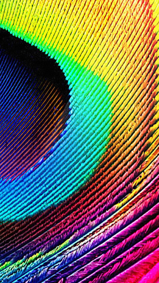 Multicolored peacock feather holography macro - chromatic aberration free wallpaper for mobile