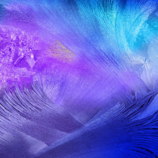 Blue purple feathers pattern background - background free wallpaper for tablet