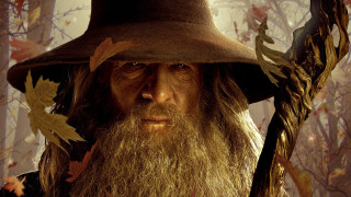 Man long beard hat leaves - weta digital free wallpaper