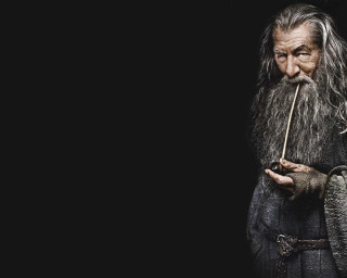 Man long beard holding stick - a long beard free wallpaper