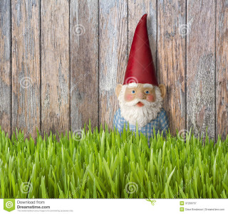 Gnome red hat grass fence - a fence free wallpaper for tablet