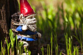 Gnome figurine tree grass red - a red hat free wallpaper