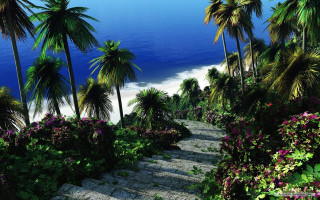 Beach steps palm trees flowers - a set of steps free wallpaper