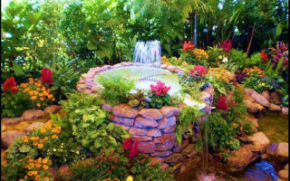 Garden fountain flowers plants rocks - a garden free wallpaper