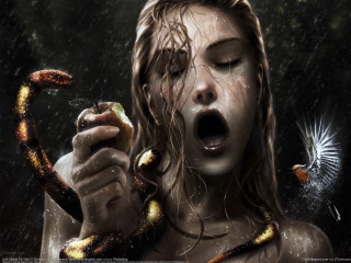 Woman holding snake butterfly flying - her hand and a butterfly free wallpaper