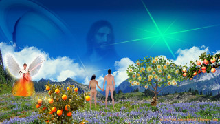 Man fruit trees angels blue - angel free wallpaper