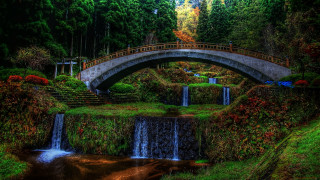 Bridge waterfall forest nature scenery - a waterfall below free wallpaper