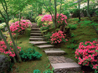 Stone path steps pink flower - a stone path free wallpaper