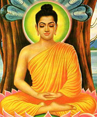 Buddha lotus tree blue butterfly - bholekar srihari free wallpaper for mobile