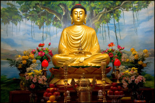 Golden buddha statue tree flowers - figurine free wallpaper