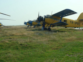 Yellow blue planes parked field - synchromism free wallpaper