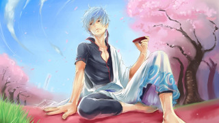 Man red blanket tree pink - pink flower free wallpaper