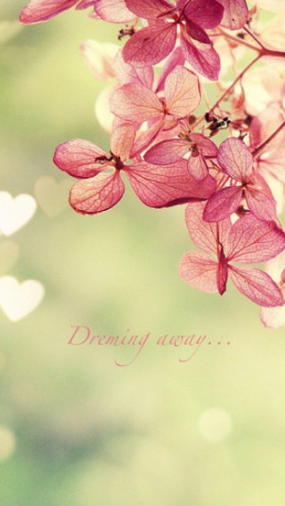 Pink flower hearts green background - free spring wallpaper for mobile