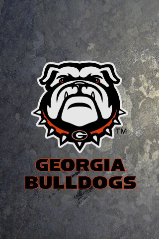 Dog face stone surface georgia - free dogs wallpaper for mobile