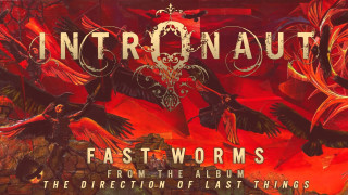 Birds flying red background painting - last free wallpaper