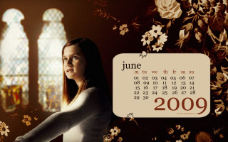 Woman stained glass calendar floral - a stained glass window free wallpaper