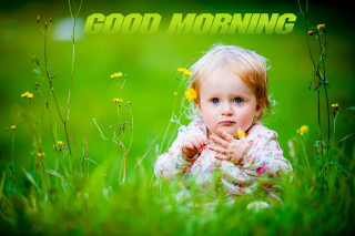 Little girl sitting grass green - the word good morning free wallpaper