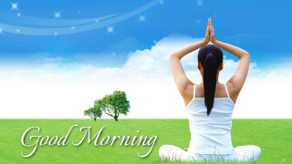 Woman sitting field hands head - bright morning free wallpaper