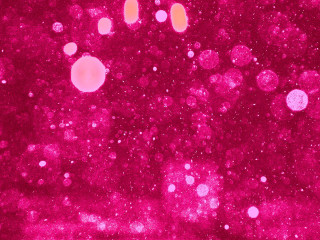 Red bubbles pink background astronaut - albert irvin free wallpaper