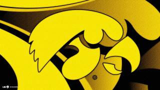 Yellow black abstract bird black - eiichiro oda free wallpaper
