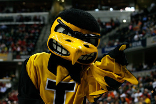 Mascot yellow black outfit nose - gritty free wallpaper for desktop
