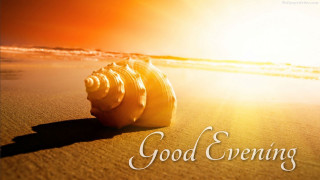 Seashell good evening sunset beach - evening free wallpaper