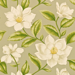 White flower green leaves gray - a gray background free wallpaper for tablet