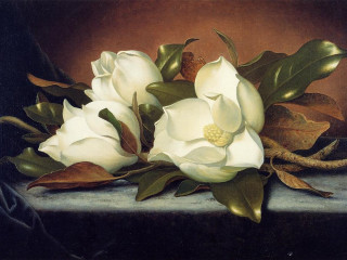 White flowers table leaves pine - soft painting free wallpaper