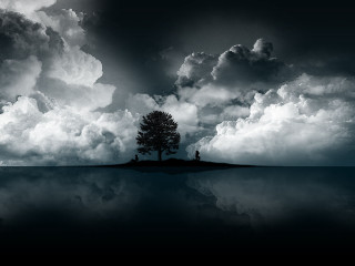 Lone tree lake clouds man 2 - the background and a man free wallpaper