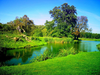 River park field trees sunny - a sunny day free wallpaper
