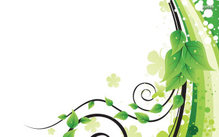 Green white background leaves swirls - charles mcauley free wallpaper