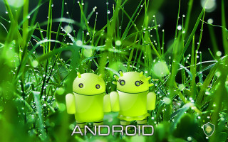 Two green androids sitting grass - dew free wallpaper