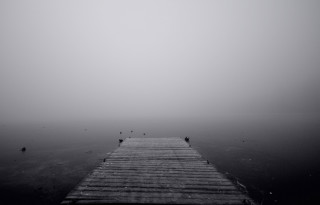 Foggy lake dock birds person - the dock free wallpaper