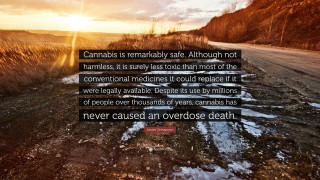 Cannabis remarkably safe not harmless - high free wallpaper for desktop