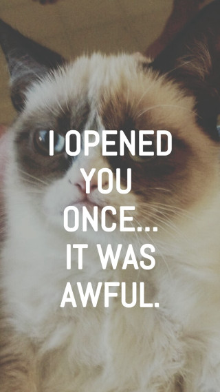 Cynical cat screenshot allen tupper - free cats wallpaper for mobile