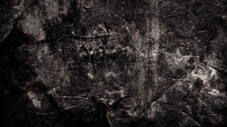 Rock wall tree bird flying - a tree in the middle of it free wallpaper