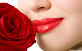 Woman red rose mouth white 3 - a red rose free wallpaper