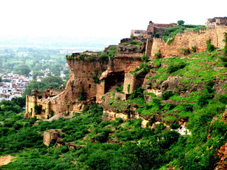 Tall cliff trees city panorama - free landscape wallpaper