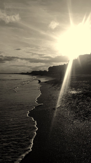 Sunshine ocean beach waves black - wave free wallpaper for mobile