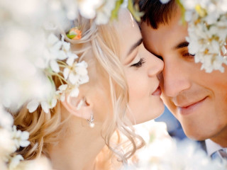 Man woman kissing flower tree - a park setting free wallpaper