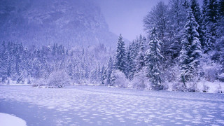Snowy landscape trees river mountain - snow free wallpaper