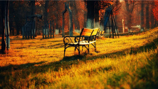 Park bench grass trees swing - grass and trees free wallpaper