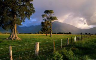 Field fence tree mountains background - bob thompson free wallpaper