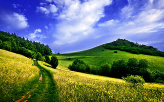 Grassy field dirt path hill - a dirt path free wallpaper