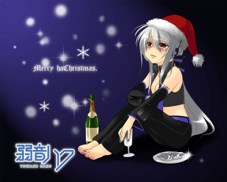 Woman sitting floor wine bottle - a snowflake background free wallpaper