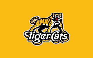 Tiger logo yellow background tigers - dai xi free wallpaper