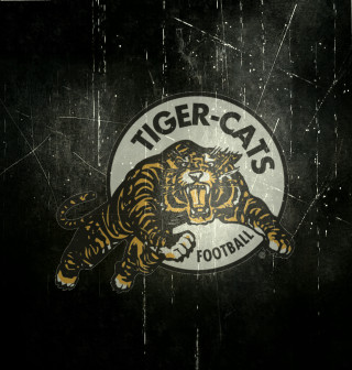 Tiger logo black background bengal - anson maddock free wallpaper for tablet