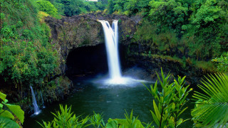 Waterfall tropical view trees bushes - tropical free wallpaper