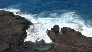 Rocky cliff water bird shore - ocean free wallpaper for desktop