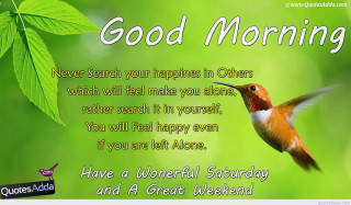 Hummingbird flying green background good - single body free wallpaper